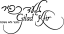 GiladKfir_Logo_Black_64x34